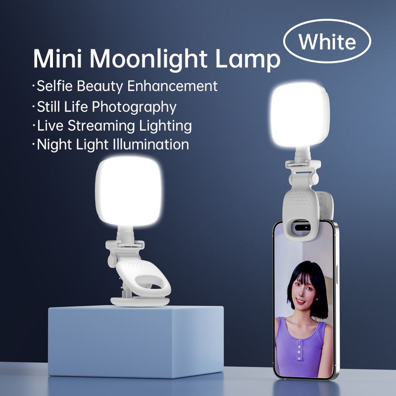 Photography Lighting Diagram - Портативный светодиодный светильник для селфи, камера,